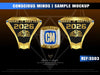 Conscious Minds Small Agency of the Year - 2026 Ring Order
