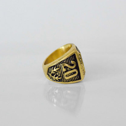 Fantasy Football League (2013) Championship Ring